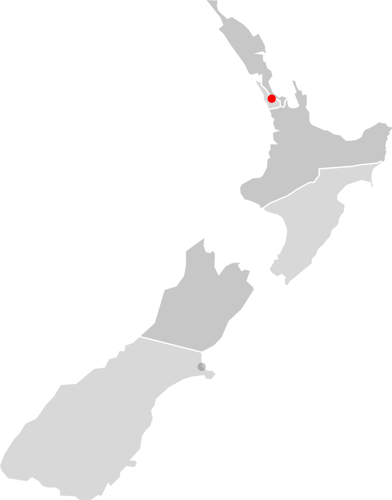 Image of Auckland Based BDM